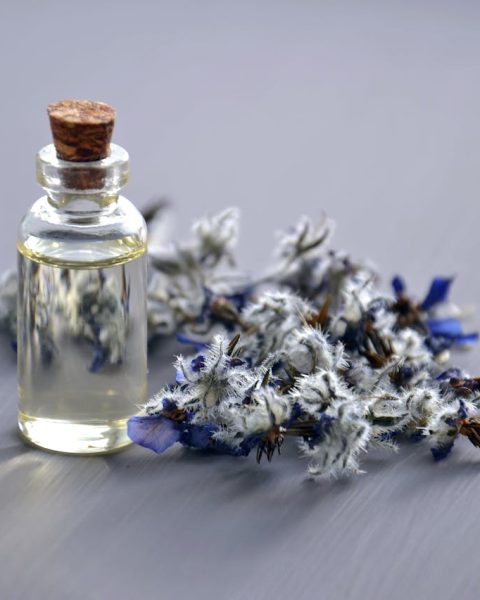 De geschiedenis van parfum