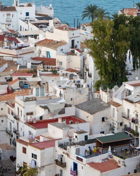 Waarom Madeira reizigers aantrekt die op zoek zijn naar zachte hoogtes en ruige randen