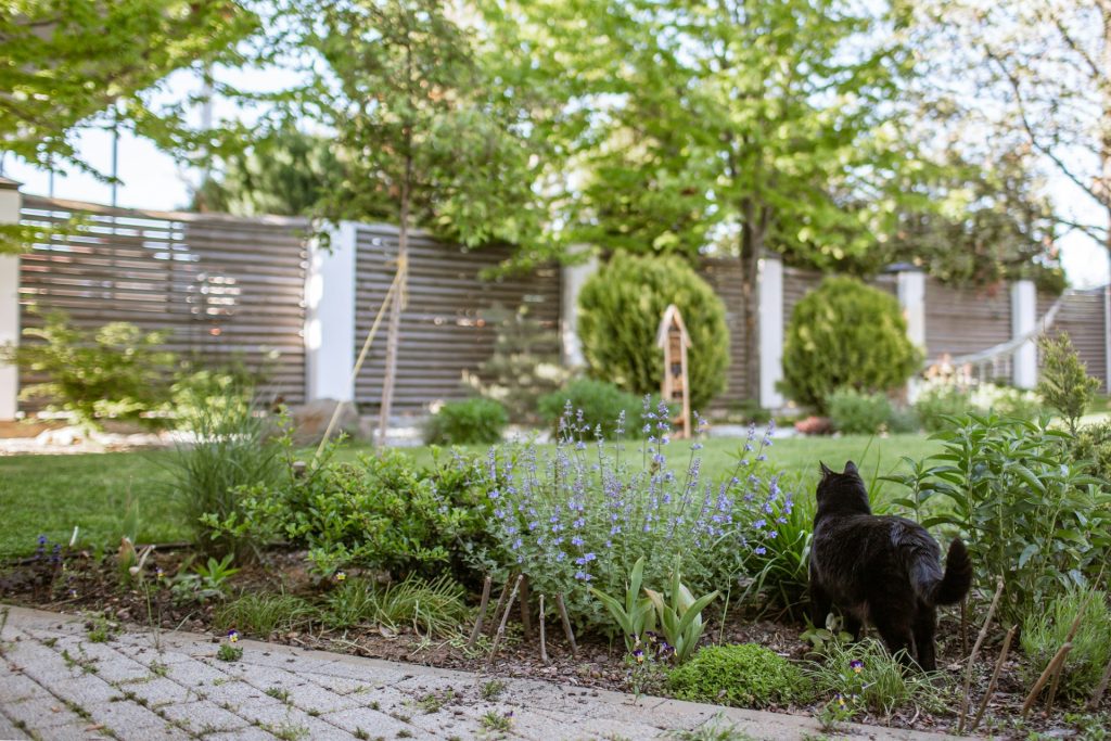 Zo creëer je een echte hang-out in de tuin